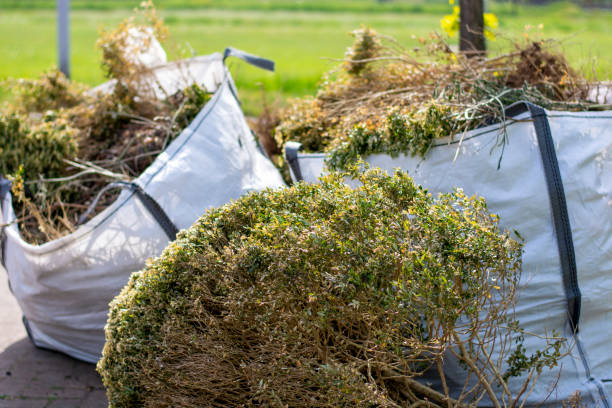 Best Estate Cleanout Services  in Weed, CA